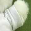 down syndrome dvd teddy bear